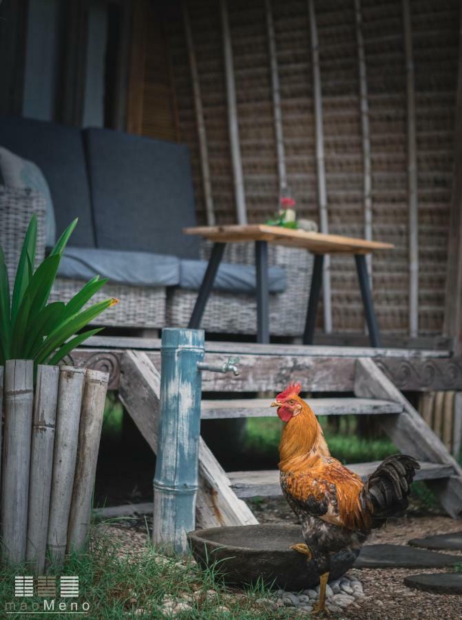 Maomeno Yoga Holiday park Gili Meno